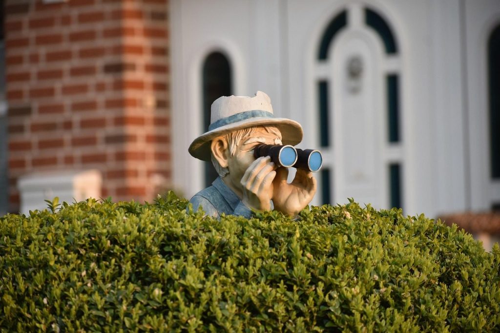garden ornament, hedge, garden, front yard, nature